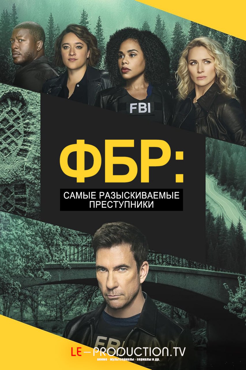 ФБР: Самые разыскиваемые преступники 6 сезон /  / FBI: Most Wanted